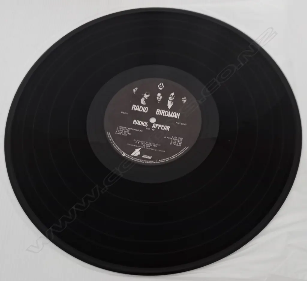 Radio Birdman, Radios Appear Image 1++